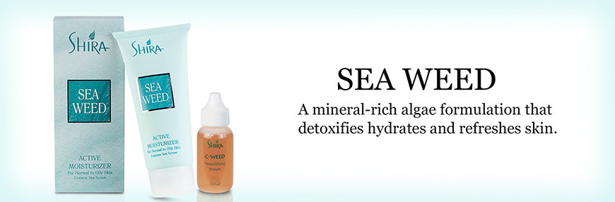 Buy Sea Weed
